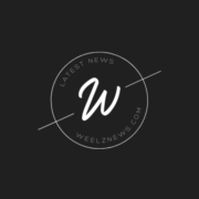 Weelz News logo